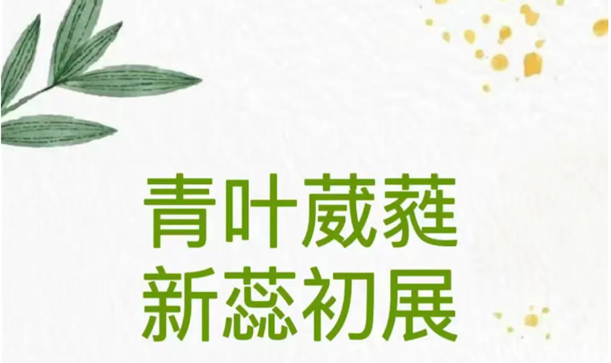 青葉葳蕤 新蕊初展丨香寶寶幼兒園2024年青年教師綜合技能大賽